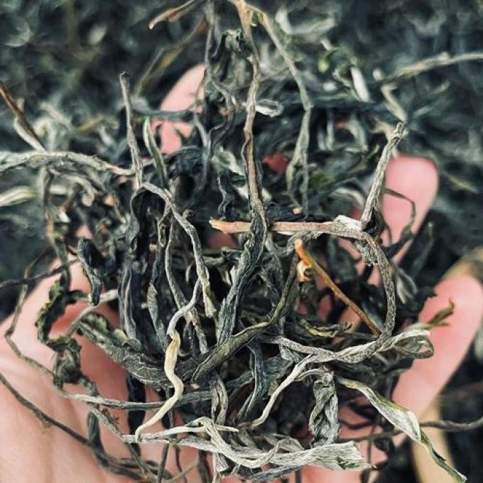 Pu-erh-tea